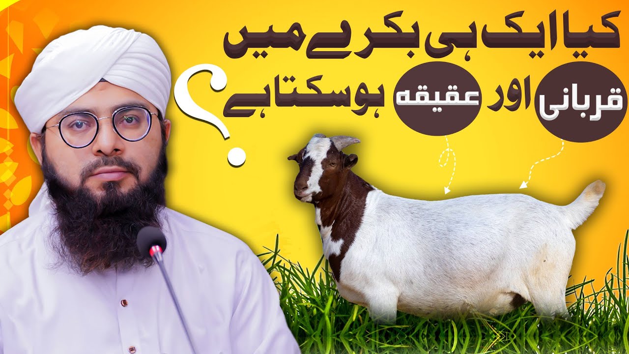 Qurbani Ke Janwar Me Aqeeqa Karna Kaisa?